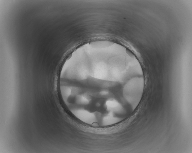 X0000111820010200909031500