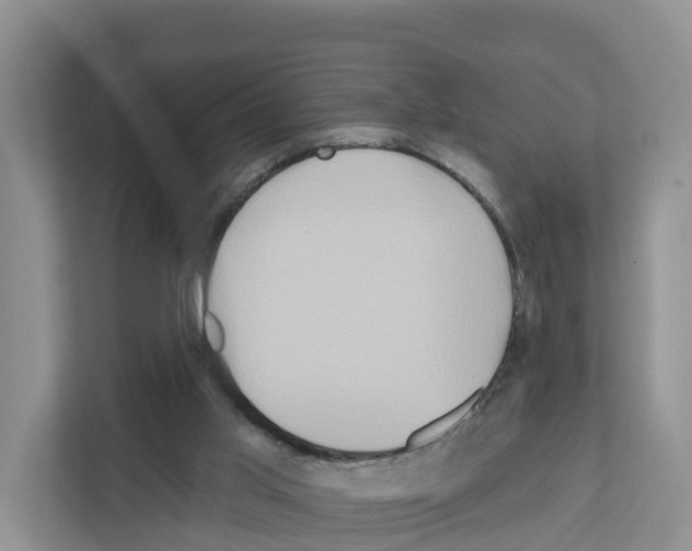 X0000111820013200909031459