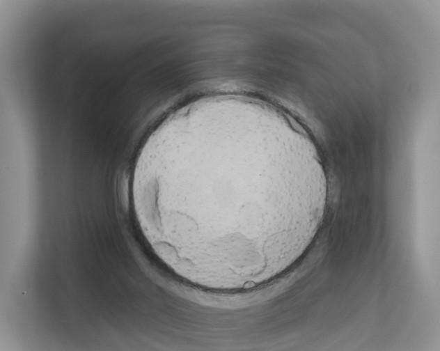 X0000111820014200909031459