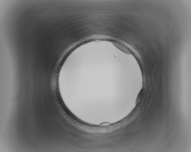 X0000111820015200909031459