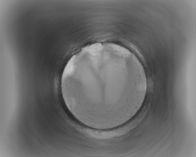 X0000111820018200909031459