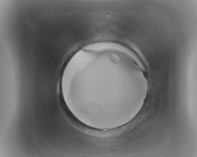 X0000111820019200909031459