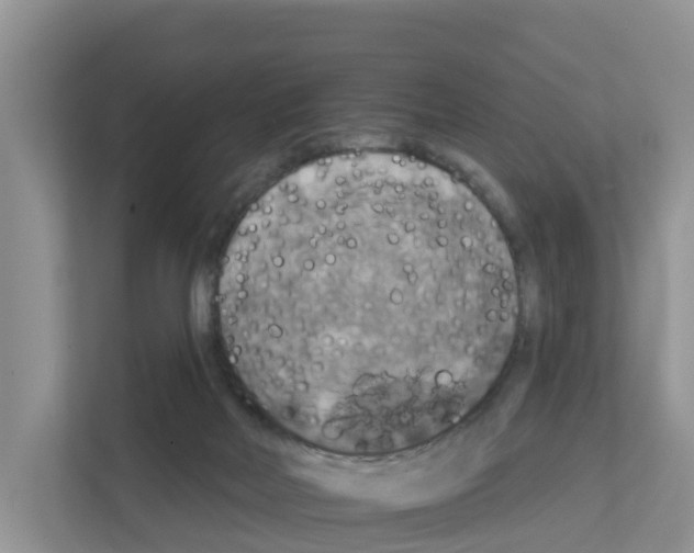 X0000111820026200909031459