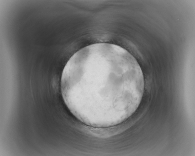 X0000111820030200909031459