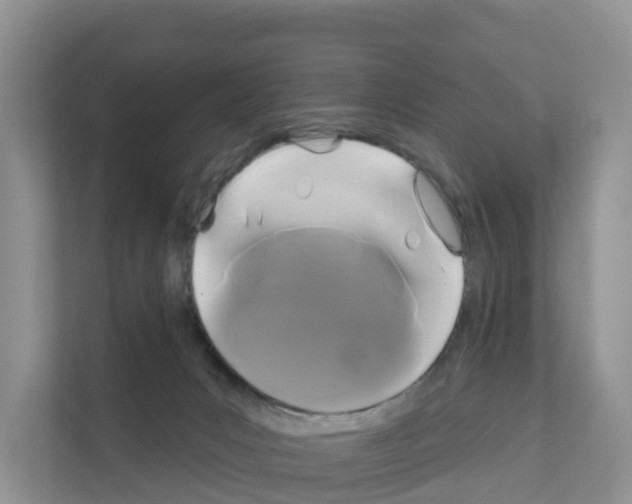 X0000111820031200909031459