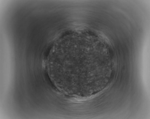 X0000111820033200909031459