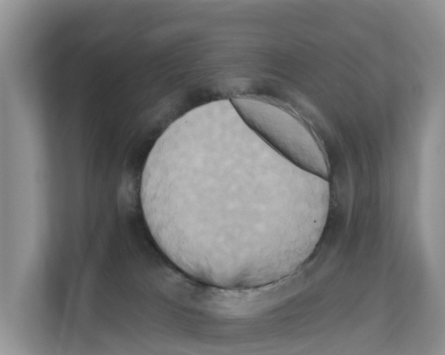 X0000111820037200909031459