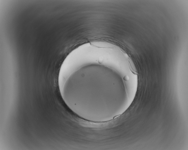 X0000111820039200909031459