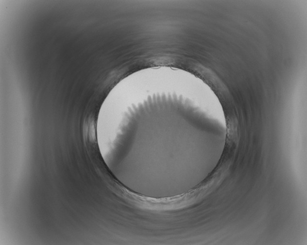 X0000111820046200909031459