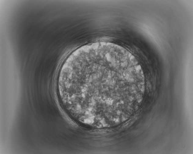 X0000111820049200909031458