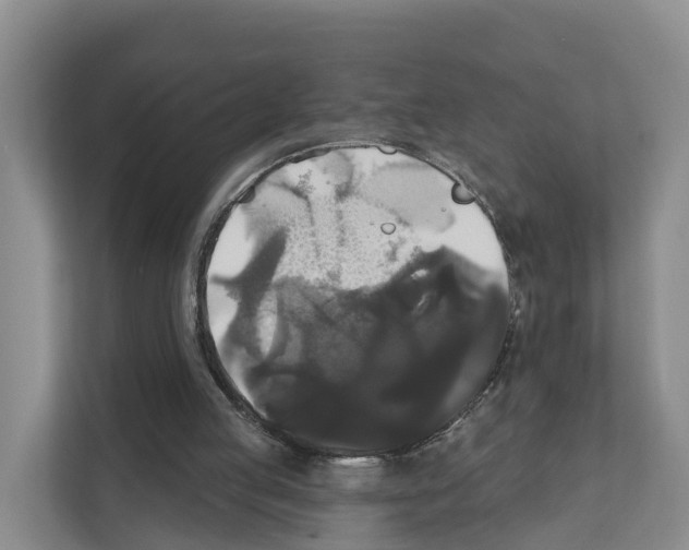 X0000111820053200909031458