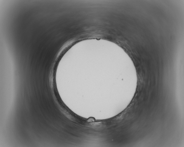 X0000111820054200909031458