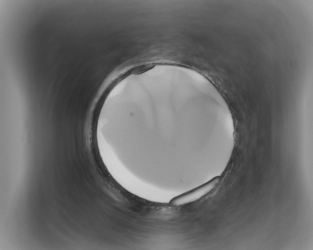 X0000111820056200909031458