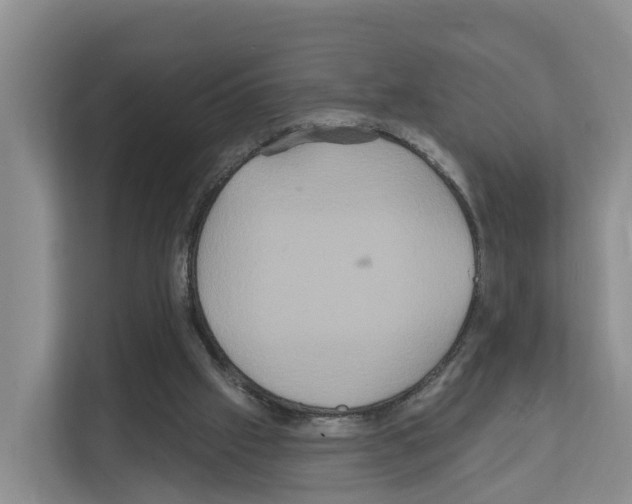 X0000111820057200909031459