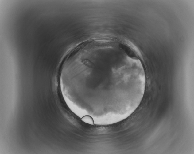 X0000111820059200909031459