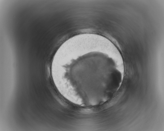 X0000111820061200909031459