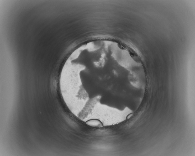 X0000111820063200909031459