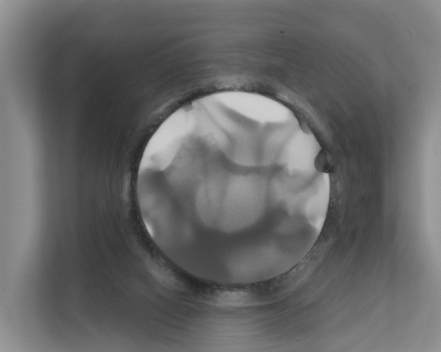 X0000111820066200909031459