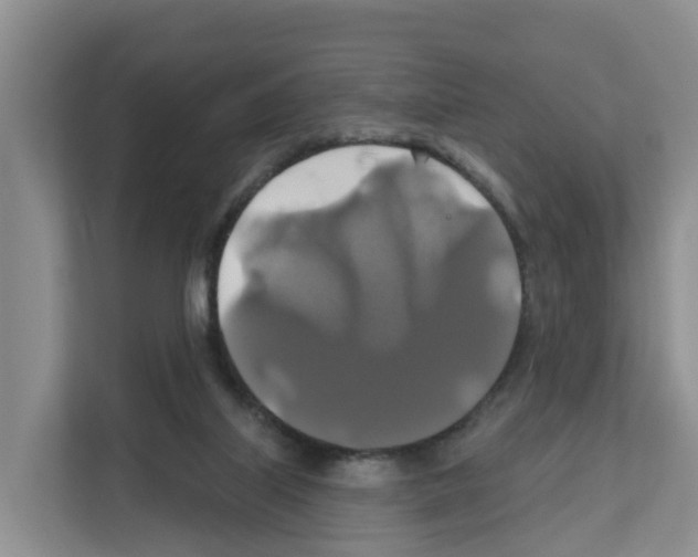 X0000111820067200909031459