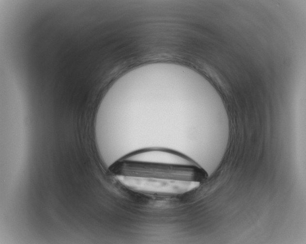X0000111820072200909031459