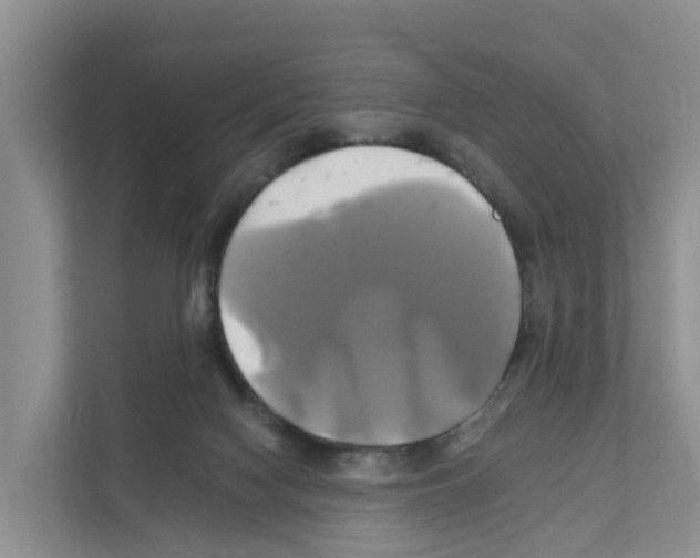 X0000111820074200909031459