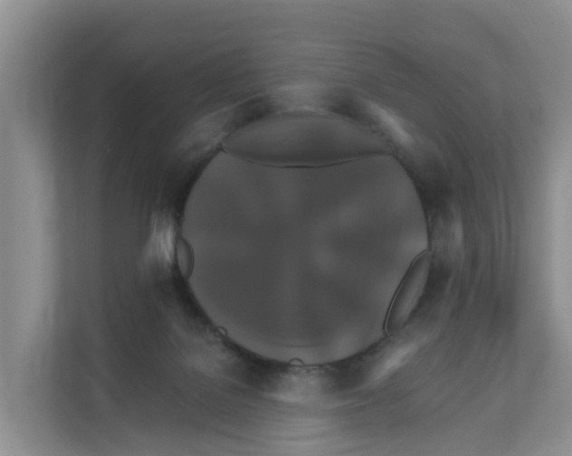 X0000111820076200909031459