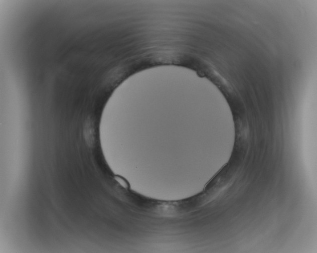 X0000111820080200909031459