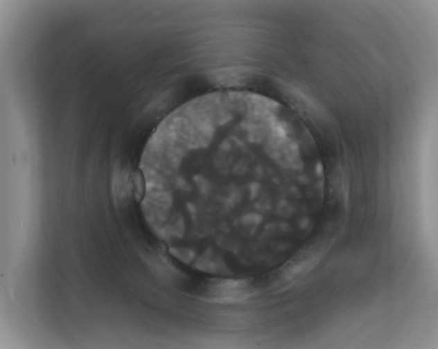 X0000111820081200909031459