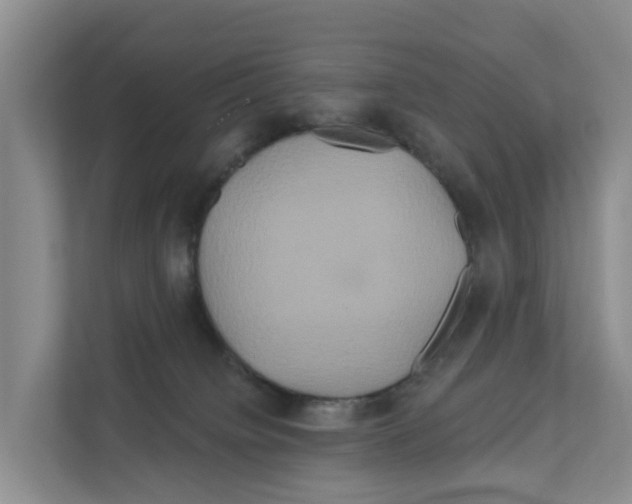 X0000111820084200909031459