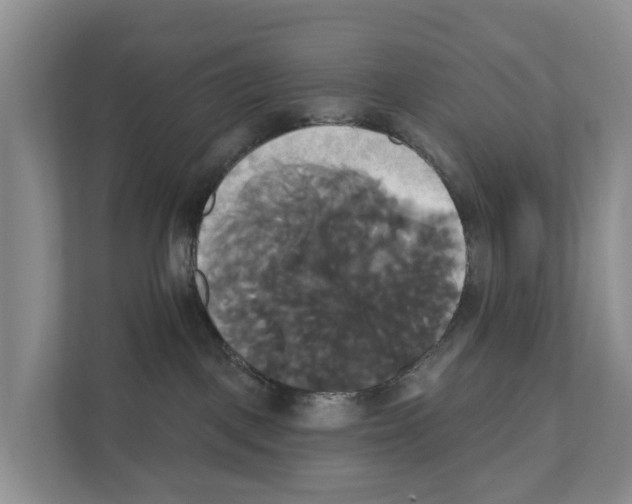 X0000111820093200909031459