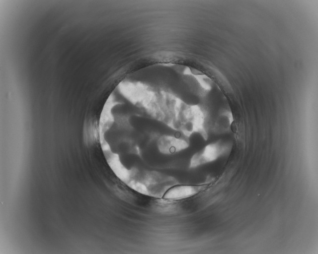 X0000111820095200909031459