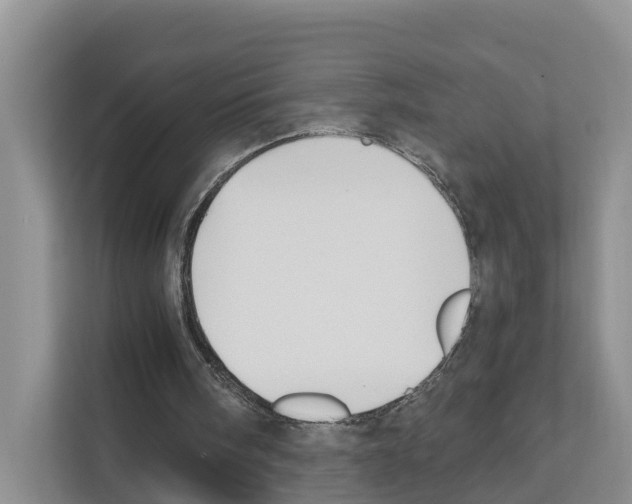 X0000111820098200909031458