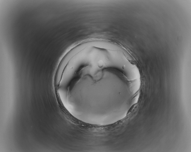 X0000111820100200909031458