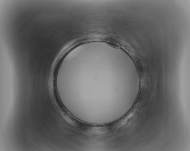 X0000111820101200909031458