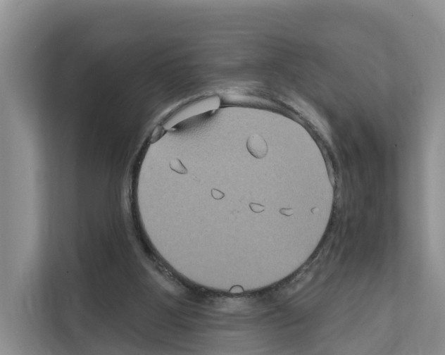 X0000111820107200909031458