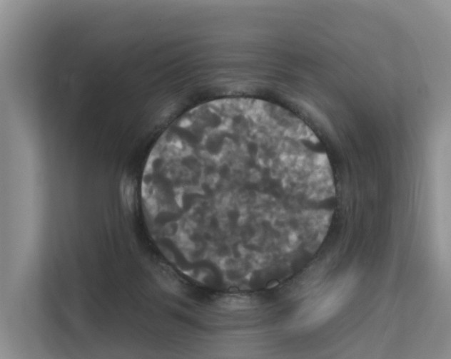 X0000111820123200909031458
