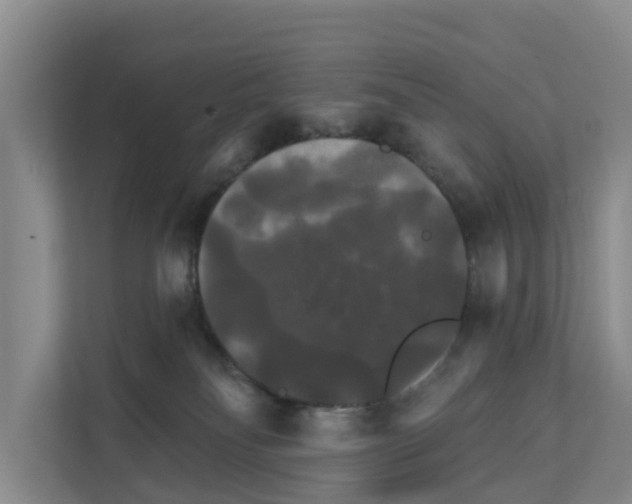 X0000111820134200909031458