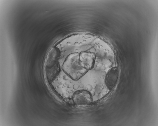 X0000111820145200909031457