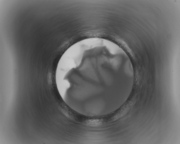 X0000111820161200909031457