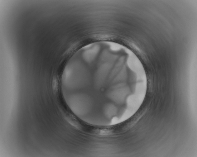 X0000111820165200909031457