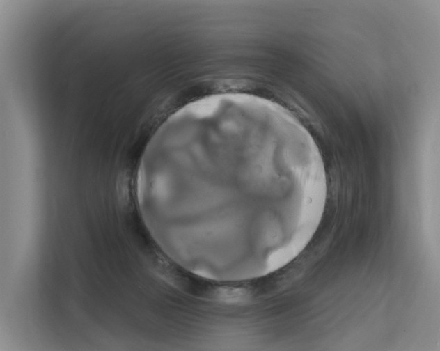 X0000111820169200909031457