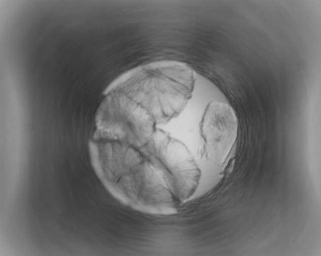 X0000111820177200909031458