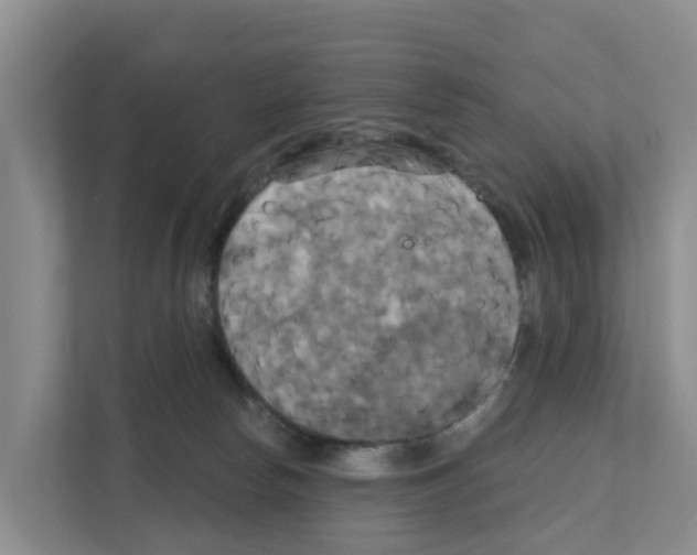 X0000111820178200909031458