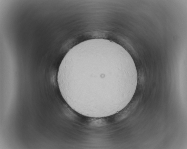 X0000111820185200909031458