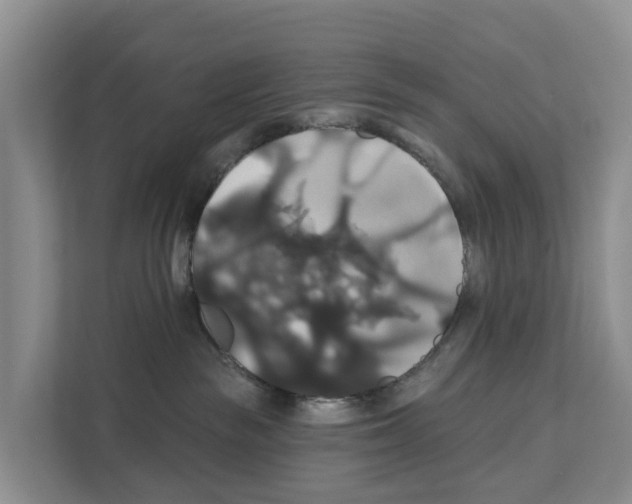 X0000111820189200909031458