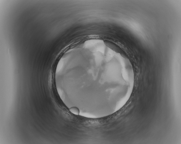 X0000111820194200909031457