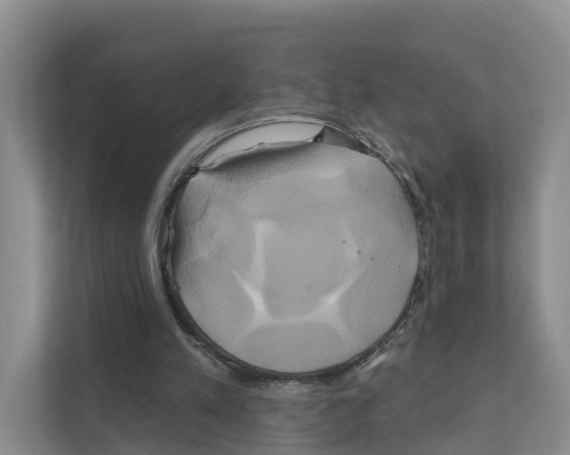X0000111820197200909031457