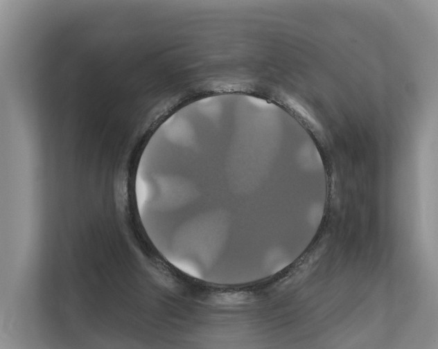 X0000111820202200909031457