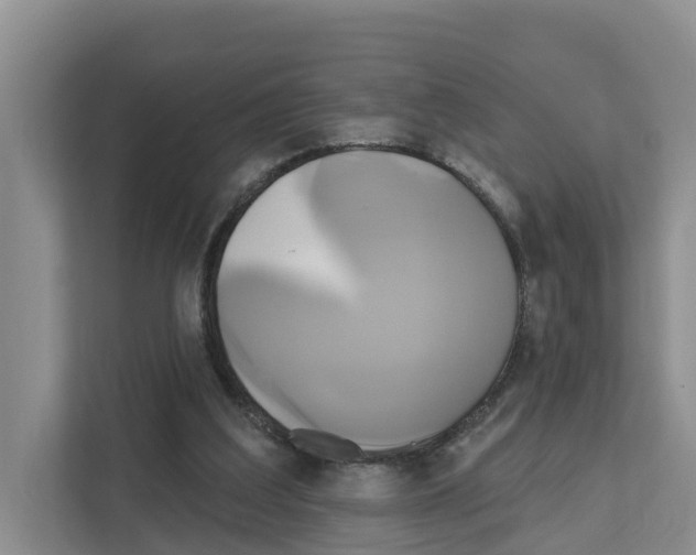 X0000111820203200909031457