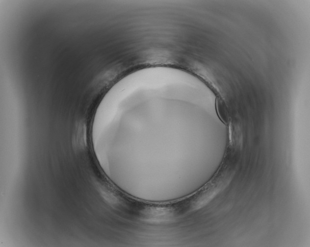 X0000111820205200909031457